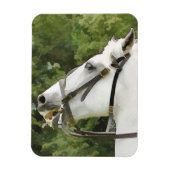 PFERDE MAGNET (Vertikal)