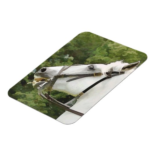 PFERDE MAGNET (Linke Seite)