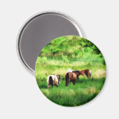 PFERDE MAGNET (Vorderseite/Rückseite)