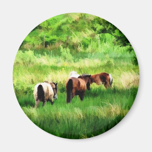 PFERDE MAGNET (Vorne)