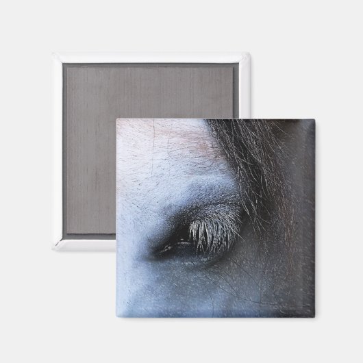 PFERDE MAGNET (Vorderseite/Rückseite)