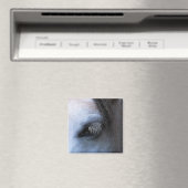 PFERDE MAGNET (In Situ (Geschirrspüler))