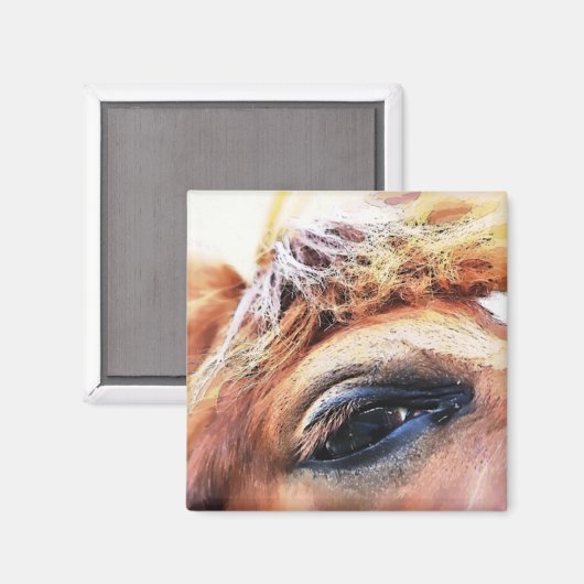 PFERDE MAGNET (Vorderseite/Rückseite)