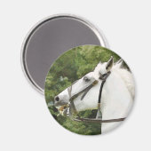 PFERDE MAGNET (Vorderseite/Rückseite)