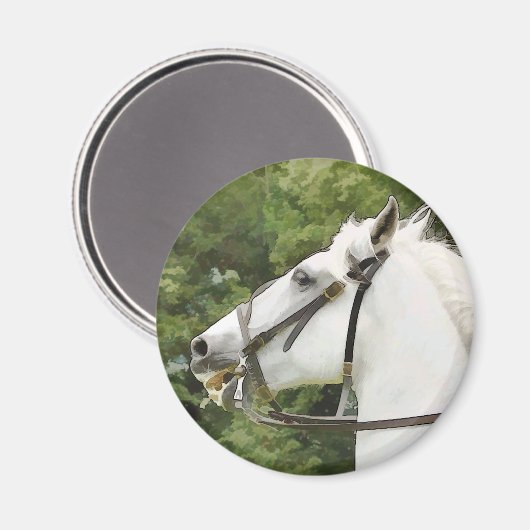 PFERDE MAGNET (Vorderseite/Rückseite)