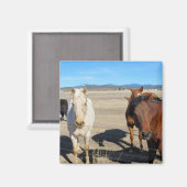 Pferde Magnet (Vorderseite/Rückseite)