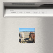 Pferde Magnet (In Situ (Geschirrspüler))