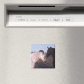 Pferde Magnet (In Situ (Geschirrspüler))