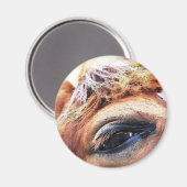 PFERDE MAGNET (Vorderseite/Rückseite)