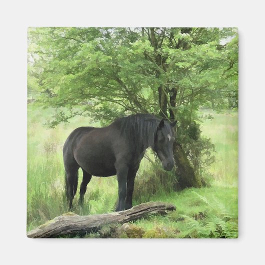 PFERDE MAGNET (Vorne)