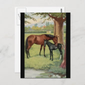 Pferde Mare Foal Reittiere Bild Postkarte (Vorne/Hinten)