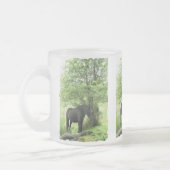 PFERDE MATTGLASTASSE (Links)