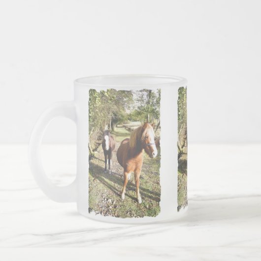 PFERDE MATTGLASTASSE (Links)