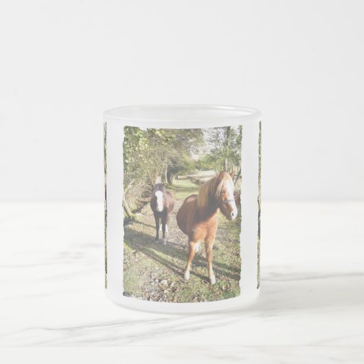 PFERDE MATTGLASTASSE (Mittel)