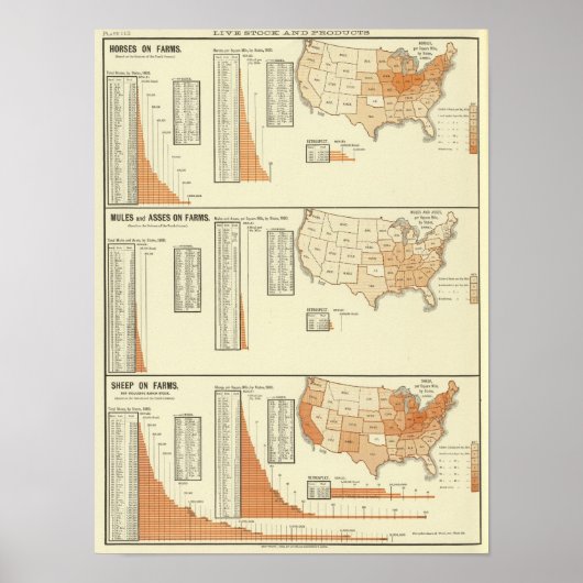 Pferde, Maultiere, Esel, Schafe Poster (Vorne)