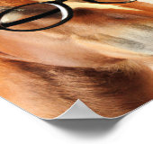 Pferde mit Brillenplakaten Poster (Ecke)