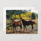 Pferde mit gelben Bäumen Postkarte (Vorne/Hinten)