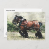 Pferde mit Haltekarte Postkarte (Vorne/Hinten)