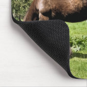 PFERDE MOUSEPAD (Ecke)
