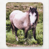 PFERDE MOUSEPAD (Vorne)