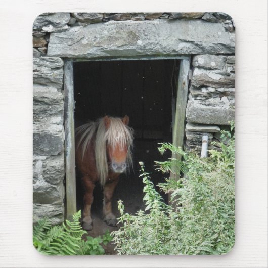 PFERDE MOUSEPAD (Vorne)