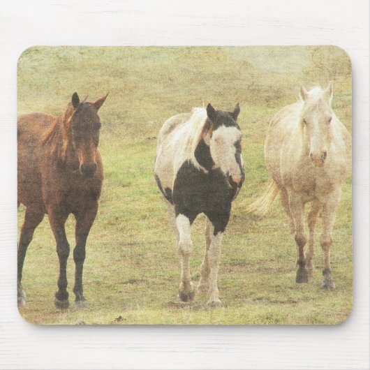 Pferde Mousepad (Vorne)