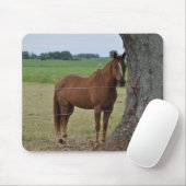 Pferde Mousepad (Mit Mouse)