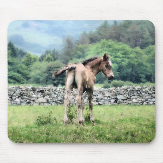 PFERDE MOUSEPAD (Vorne)