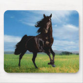 Pferde Mousepad (Vorne)