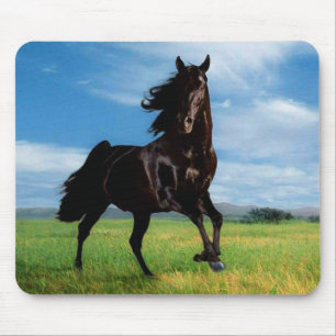 Pferde Mousepad
