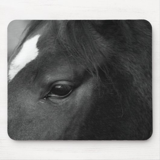 Pferde mpcna mousepad (Vorne)
