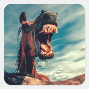 Pferde-Mund-Zähne Neigh Wild Horse Animal Quadratischer Aufkleber