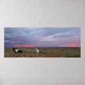 Pferde nach dem Sturm Poster (Vorne)