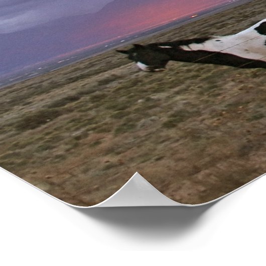 Pferde nach dem Sturm Poster (Ecke)