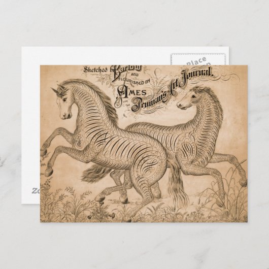 Pferde nach Strafe Postkarte (Vorne/Hinten)