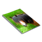 PFERDE NOTIZBLOCK (Rechte Seite)