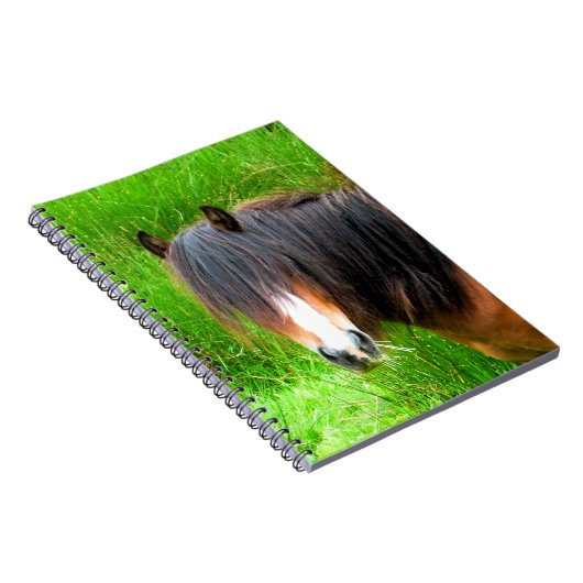 PFERDE NOTIZBLOCK (Rechte Seite)