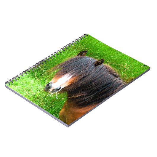 PFERDE NOTIZBLOCK (Linke Seite)