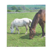 Pferde Notizblock (Vorderseite)