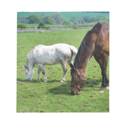 Pferde Notizblock (Vorderseite)