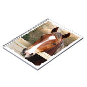 PFERDE NOTIZBLOCK (Linke Seite)