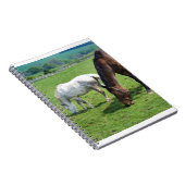 Pferde Notizblock (Rechte Seite)