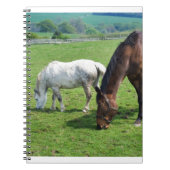 Pferde Notizblock (Vorderseite)