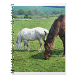 Pferde Notizblock