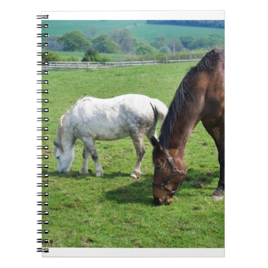 Pferde Notizblock (Vorderseite)