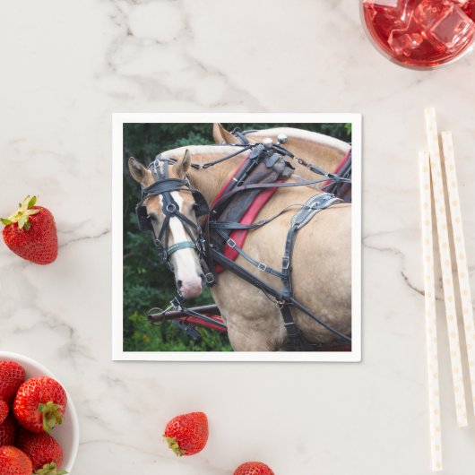 Pferde Palomino Harness Serviette (Beispiel)