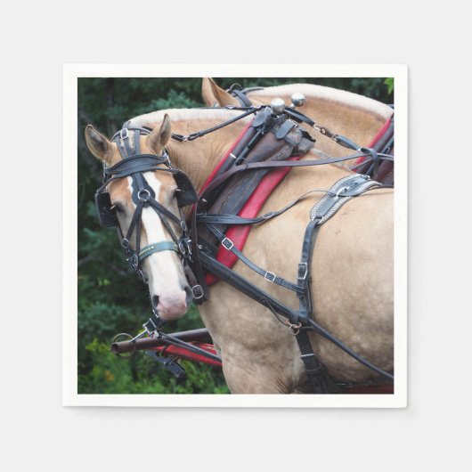 Pferde Palomino Harness Serviette (Vorderseite)