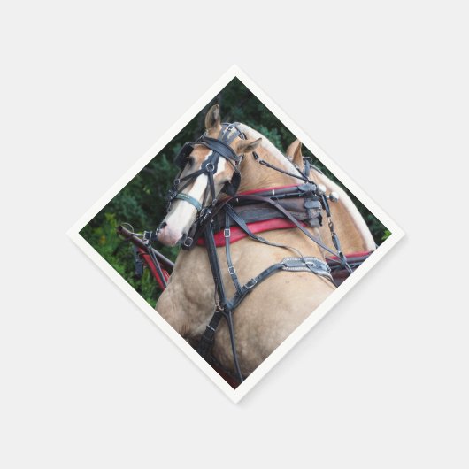 Pferde Palomino Harness Serviette (Ecke)