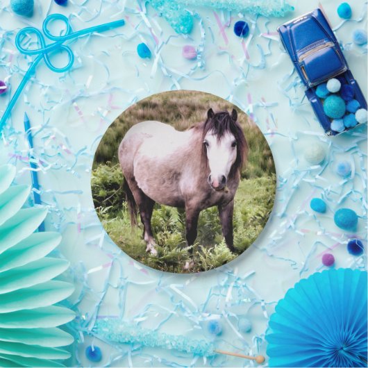 PFERDE PAPPTELLER (Party)