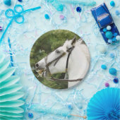 PFERDE PAPPTELLER (Party)